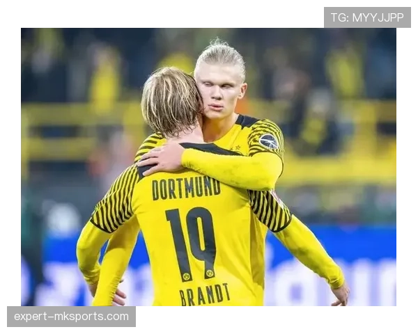 本泽马与哈兰德：终结效率差异与战术角色适配性解析